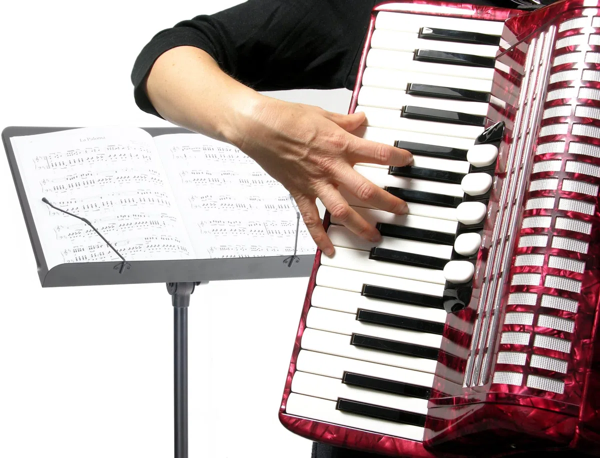 Pronomic OS-01C Orchesterpult (geschlossene Notenauflage, mit Notenklemmen, platzsparend, stufenlos, Prismenverbinder) Schwarz