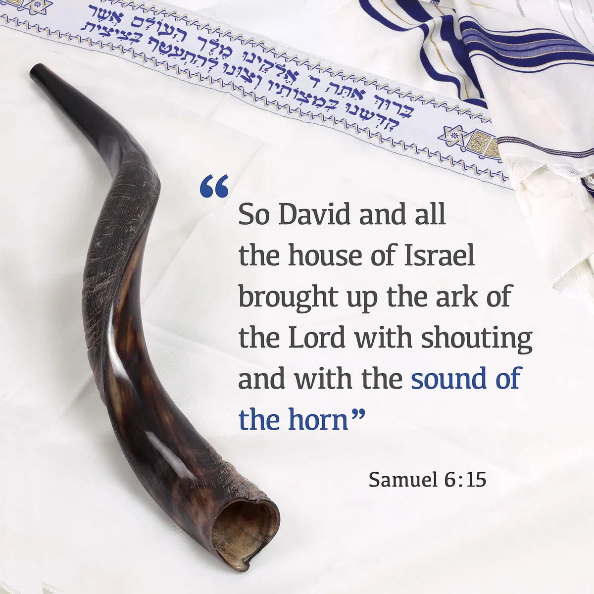 Halb-polierte Oberfläche Jemenitischen Kudu Horn Shofar