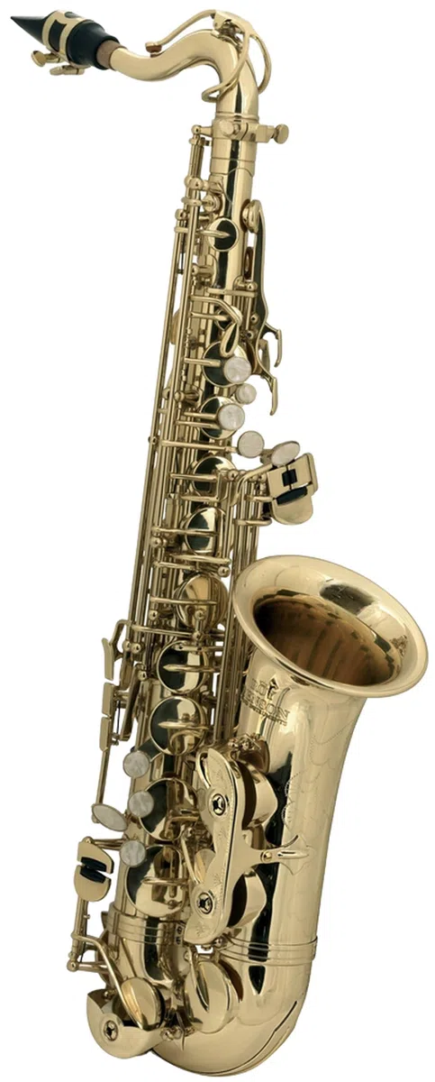 Roy Benson Eb-Alt Kinder Saxophon AS-201 (Speziell für Kinder entworfen, inklusive Putztuch, mit Harness-Tragegurt, im leichten Rechtecketui, mit Rucksackgarnitur)