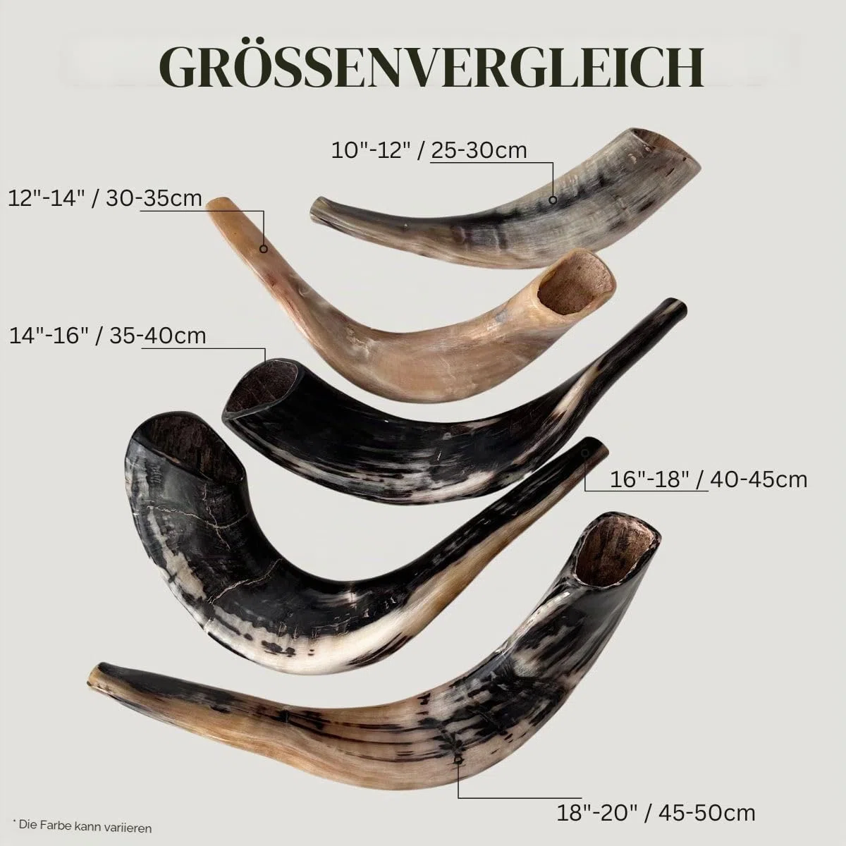 Schofar: Authentischer und koscherer polierter Ramhorn-Schofar aus Israel (30,5 cm – 35,6 cm)