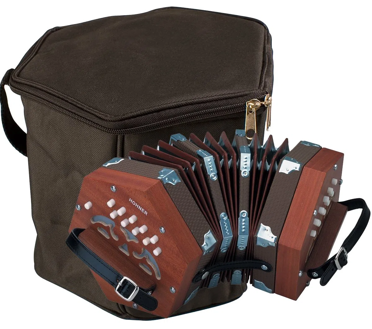 Hohner D40 Concertina mit gepolsterter Gigbag