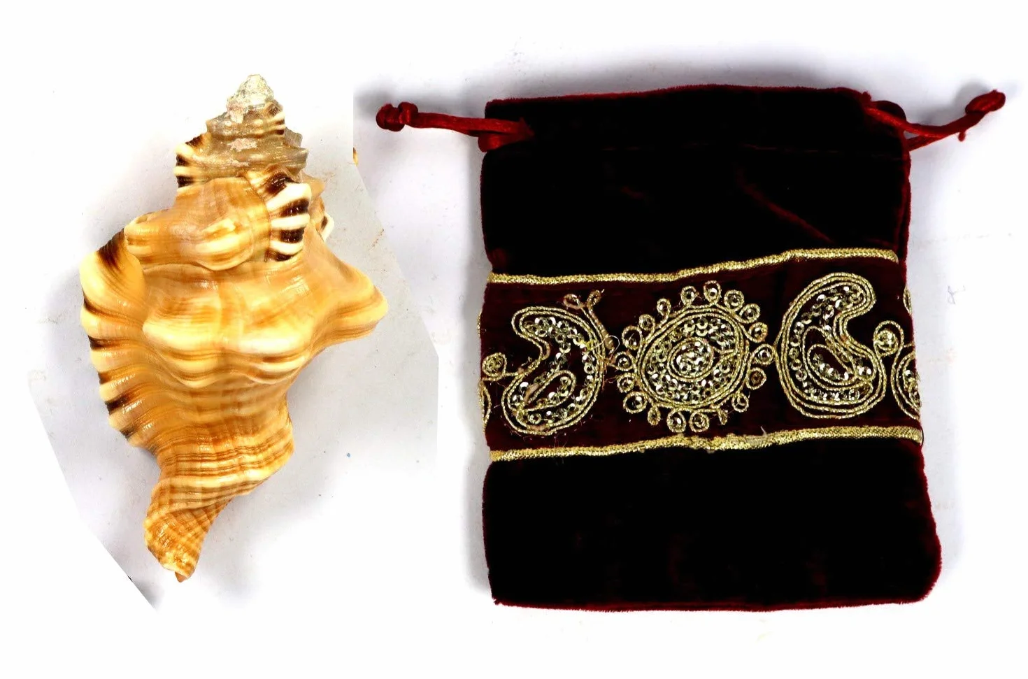 ASHIRWAD Original Ganesh Shankh, Conch Shell für Puja Ritual, alle Wohlbefinden, Gesundheit und Erfolg im Leben (Ganesh Shankh Tasche) 10,2 cm