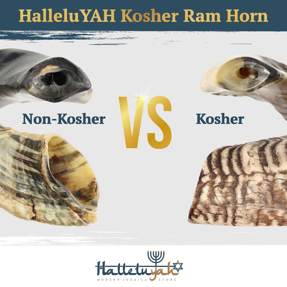 HalleluYAH Kudu 12" - 14" 7. Ram Horn Set