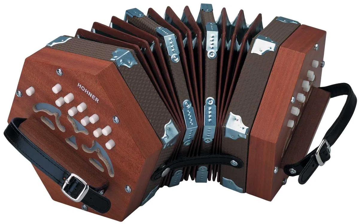 Hohner D40 Concertina mit gepolsterter Gigbag
