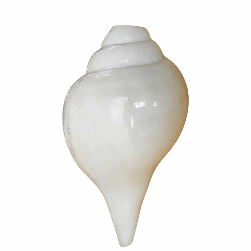 Muschelmuschel aus natürlichem weißem Schaft, melodisch, für Pooja, Tempel, Heimdekoration, Feng Shui, 1 Stück (ca. 12,7 cm)