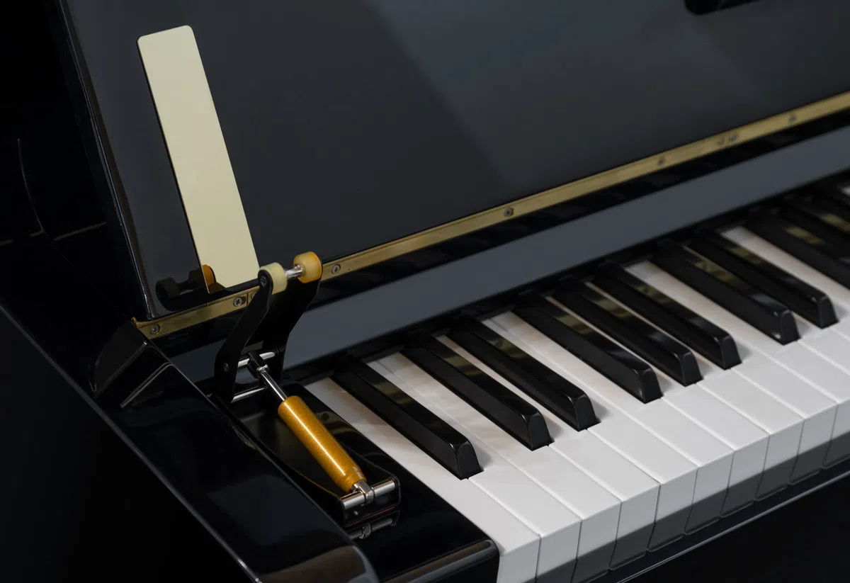 Classic Cantabile SF-10 Klappenbremse - Universelle “Soft Close”-Mechanik zum Nachrüsten für Klavier - Für langsames, leises Schließen der Tastaturabdeckung - Schwarz