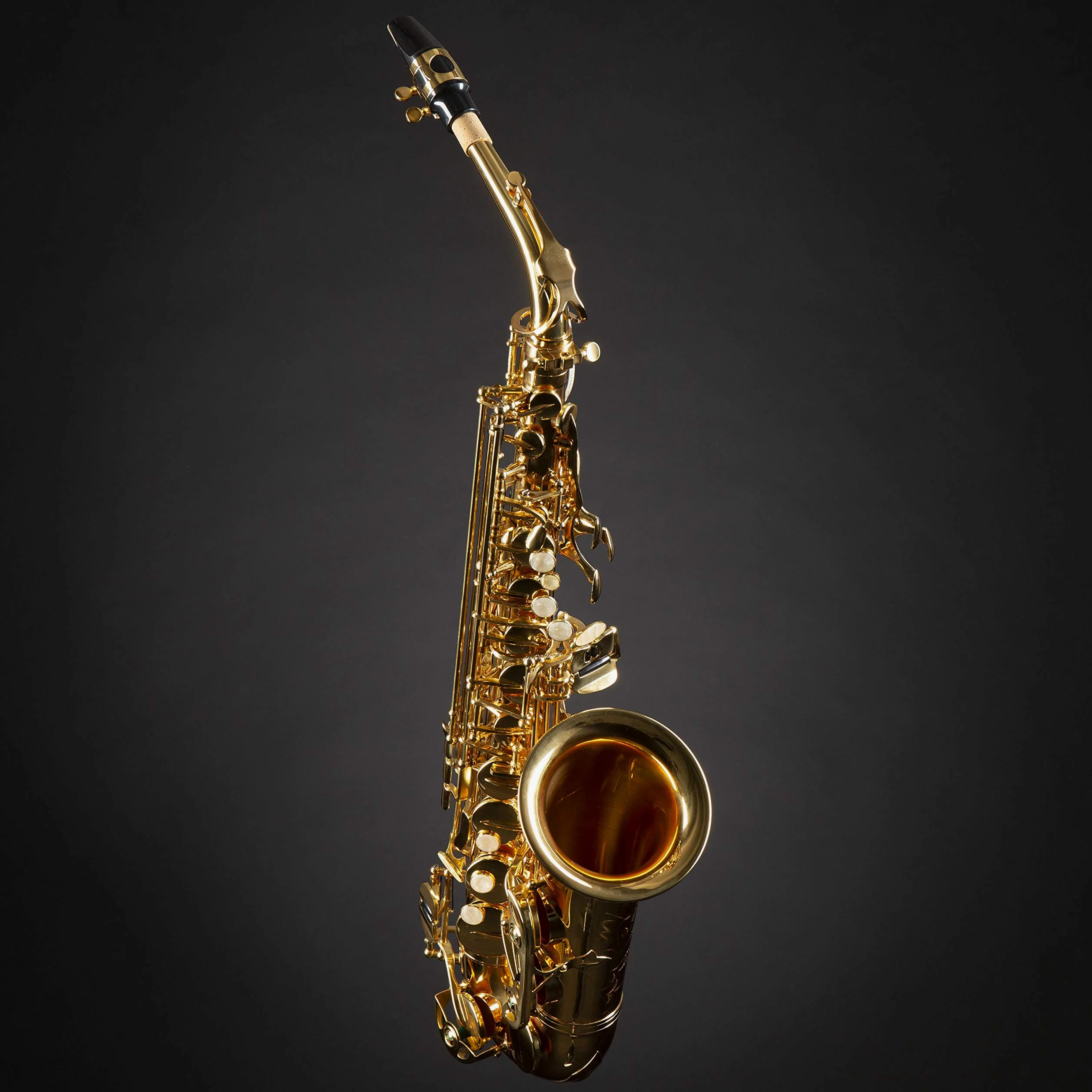 Monzani MZAS-90L Alt Saxophon für Einsteiger, Leichtgewicht, Volle Klangqualität, Einfache Ansprache, Inklusive Mundstück und Hardcase, Ideal für Anfänger