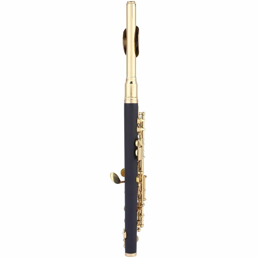 piccolo flöte C-Tonart, Huairdum Piccolo-Set mit gepolsterter Flöte in halber Größe für Kinder und Erwachsene, Anfänger und Musiker(Golden)