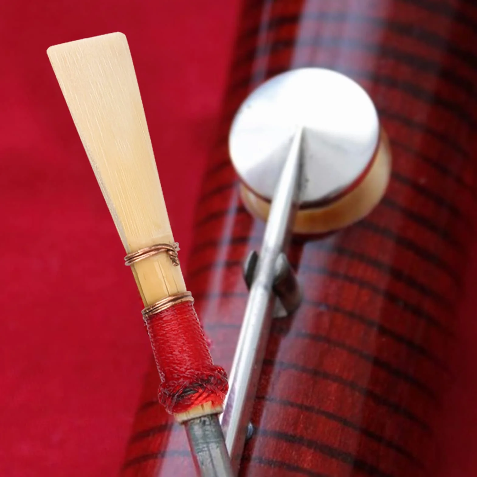 5 Stück Neues Bambus-Fagottrohr, Mittelweiches Instrumentenzubehör, Rohrhalter mit Behälterbox für Rohrzubehör, Anfänger und Fortgeschrittene