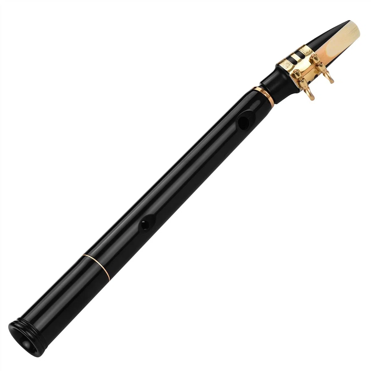 Pocket Sax Mini Tragbares Saxophon mit Tragetasche Windinstrument Schwarz
