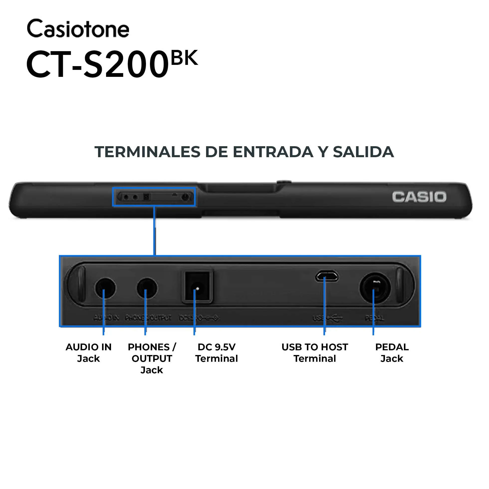 Casio CT-S200BK CASIOTONE Keyboard mit 61 Standtasten und Begleitautomatik, schwarz