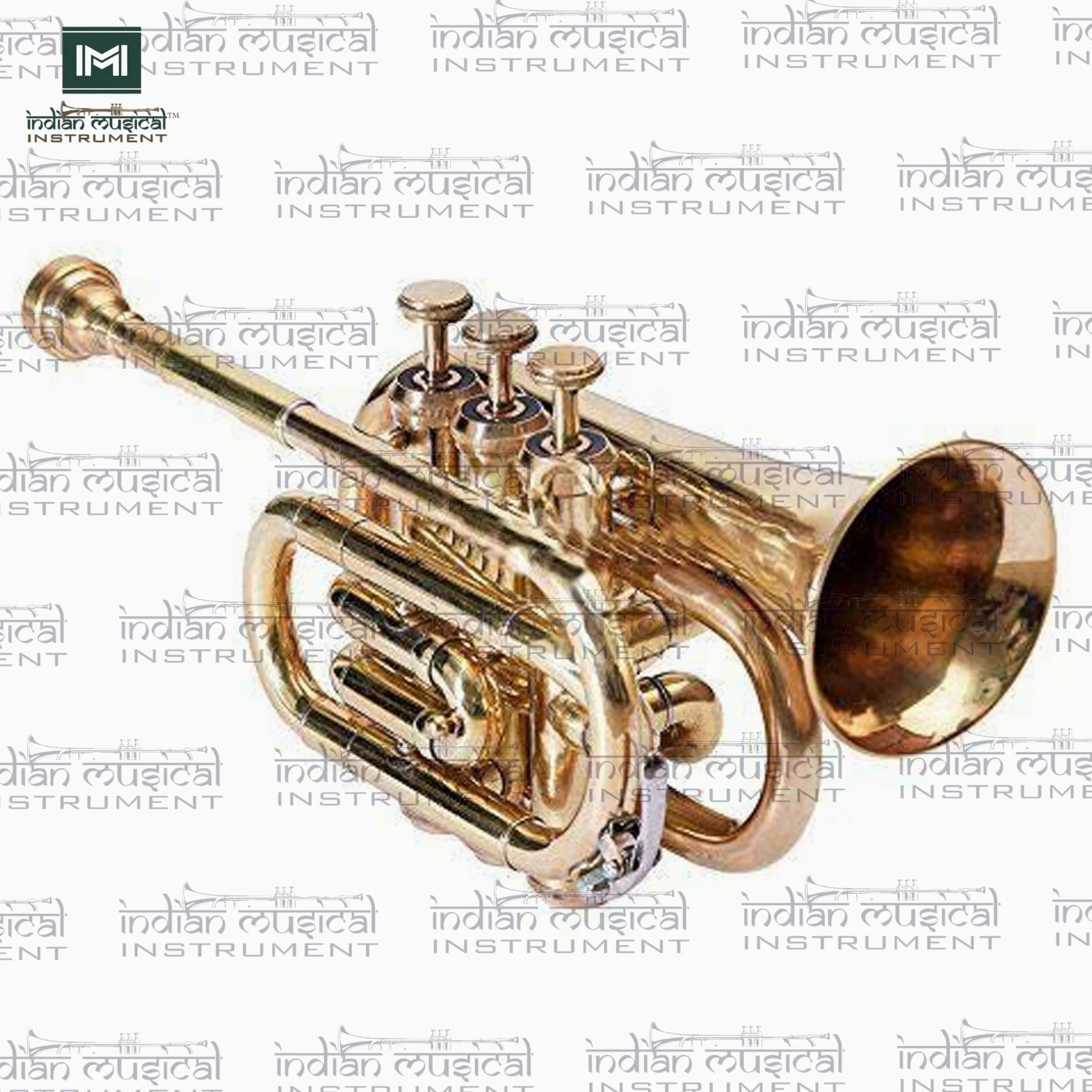 Pocket Trompete Bb Pitch inkl. Mundstück und Tragetasche (Gold)