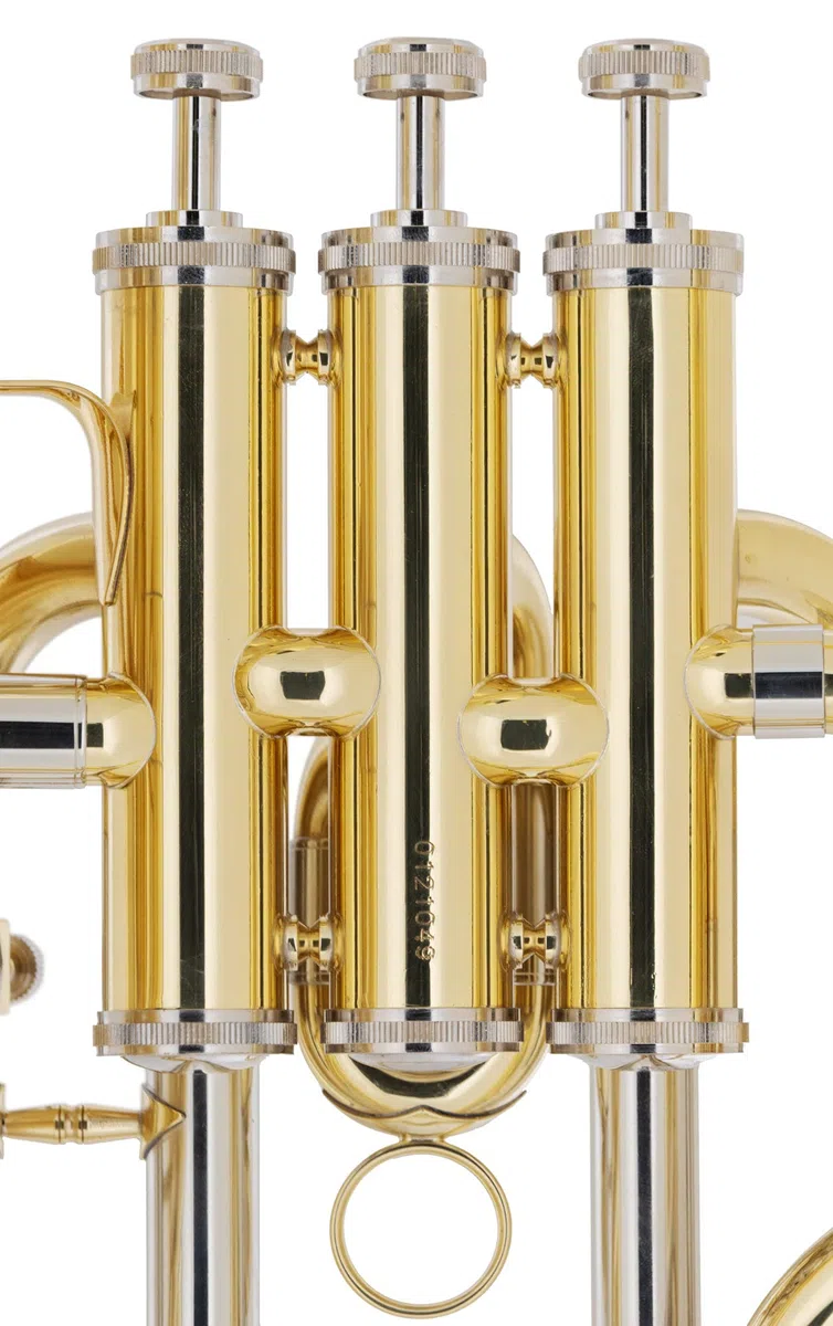 Classic Cantabile EU-1030L Euphonium - Lackiertes Euphonium in Bb - Aus Messing - Bohrung: 14,4 mm - Schallbecher-Ø: 300 mm - Edelstahl-Ventile - Inkl. Hartschalenkoffer