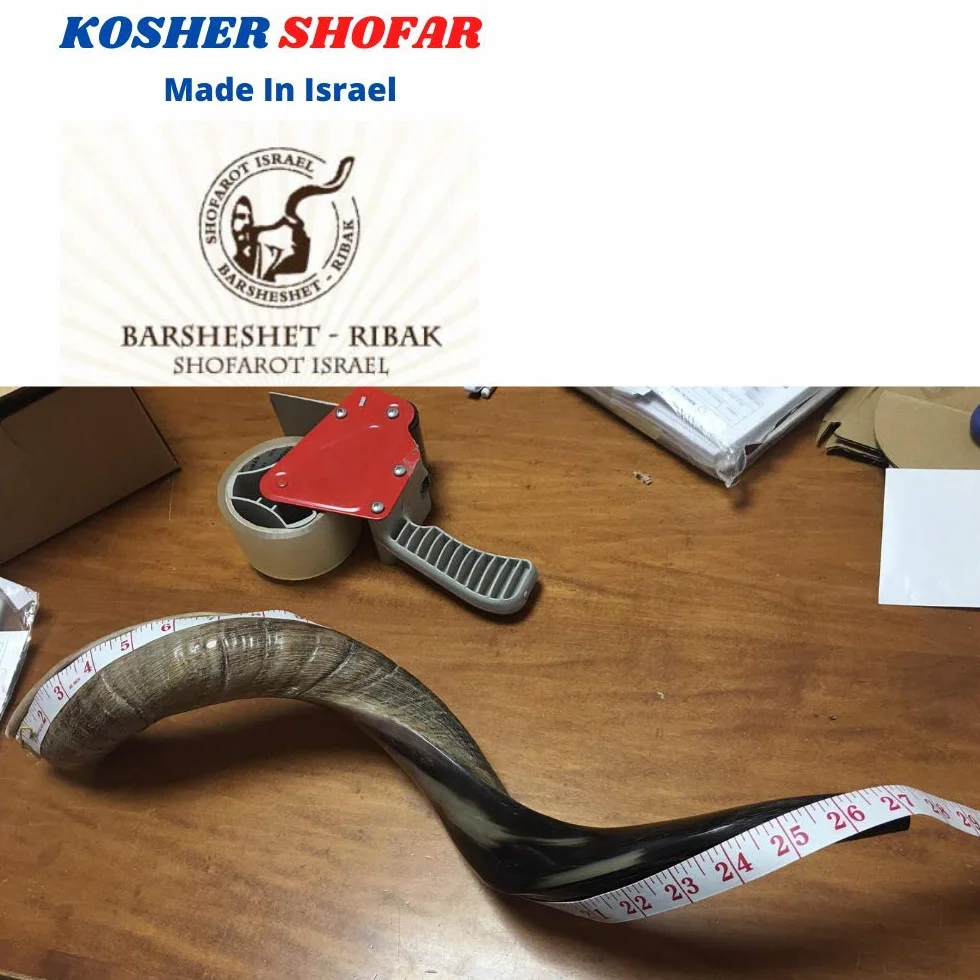 Kudu Yemenite Horn Schofar 101,6 cm 112 "100–112 cm koscher Hälfte natur Polish Chofar