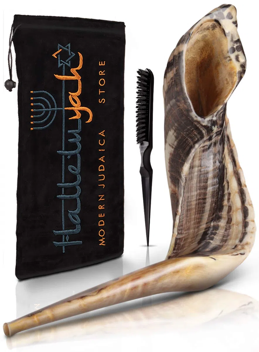 HalleluYAH Kudu 12" - 14" 7. Ram Horn Set