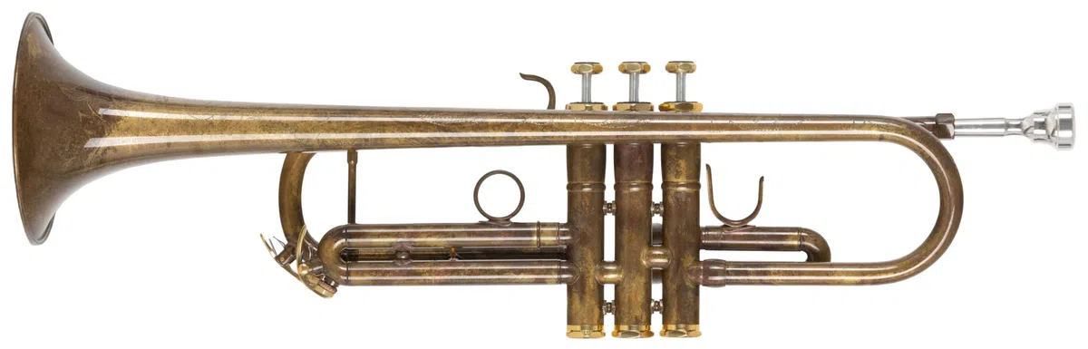 TR-16V Bb-Trompete - aus Messing - Edelstahl-Ventile - inkl. Leichtkoffer und Mundstück - säurebehandelt und klarlackiert