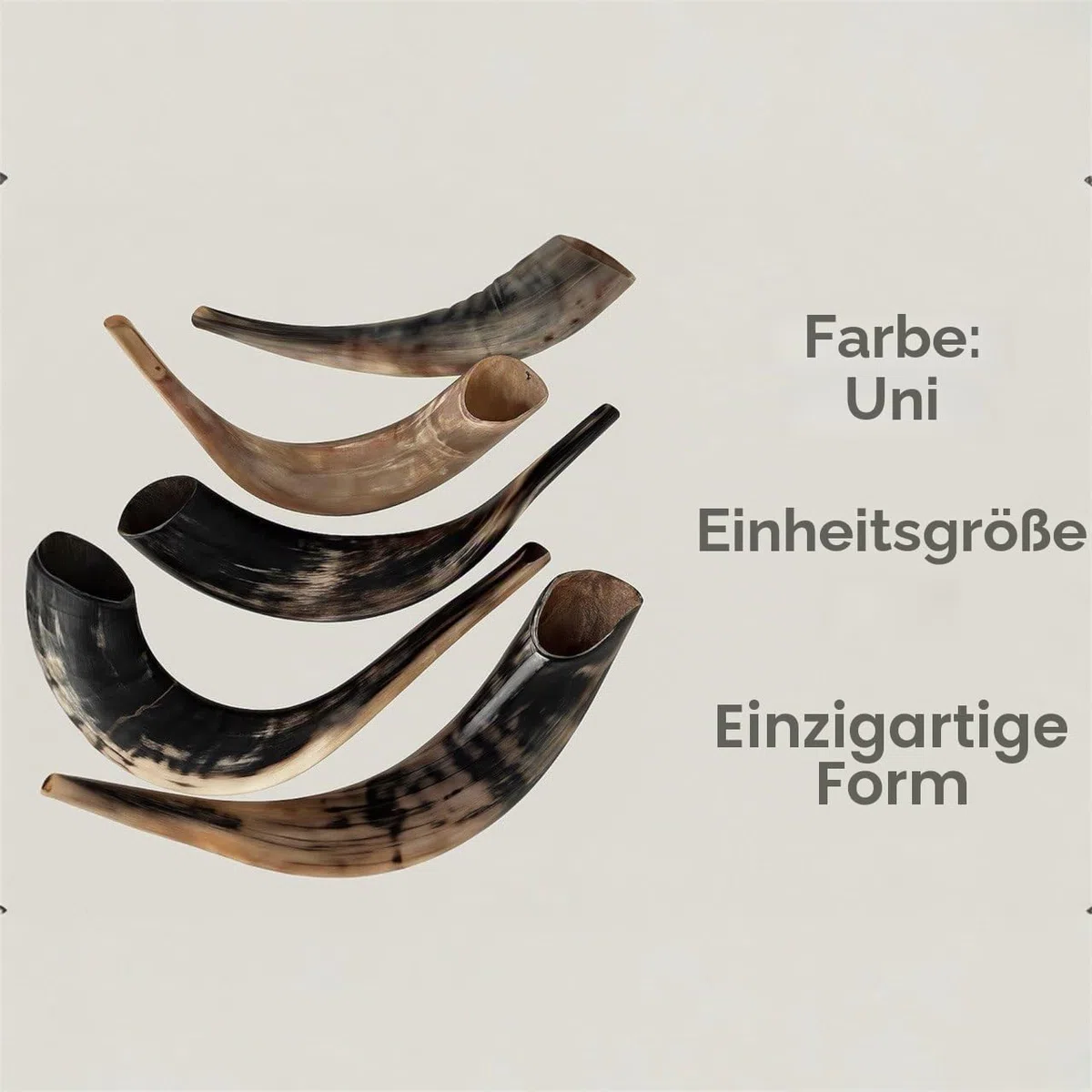 Schofar: Authentischer und koscherer polierter Ramhorn-Schofar aus Israel (30,5 cm – 35,6 cm)