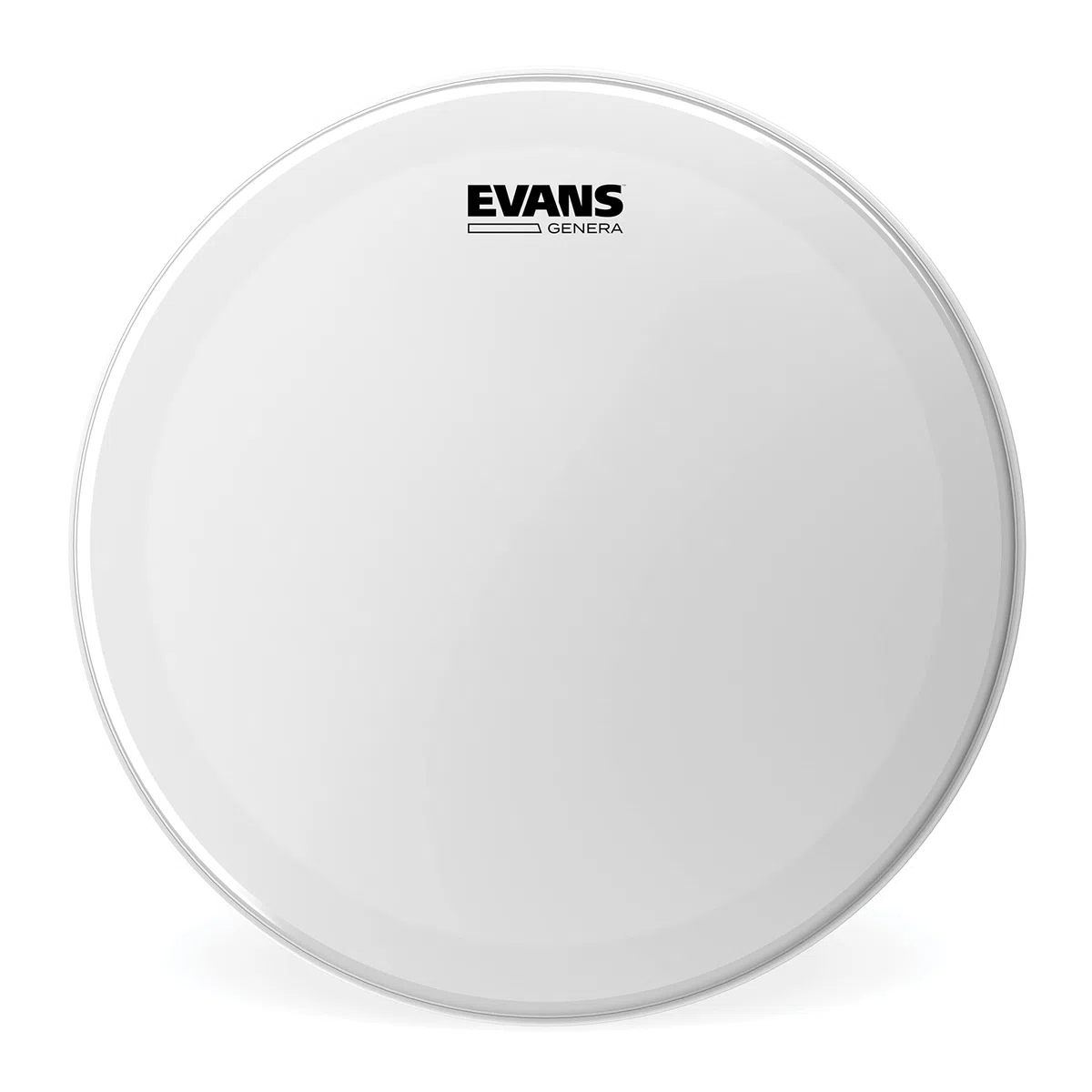Evans B14GEN 35,56cm (14 Zoll) Snarefell Genera Dry