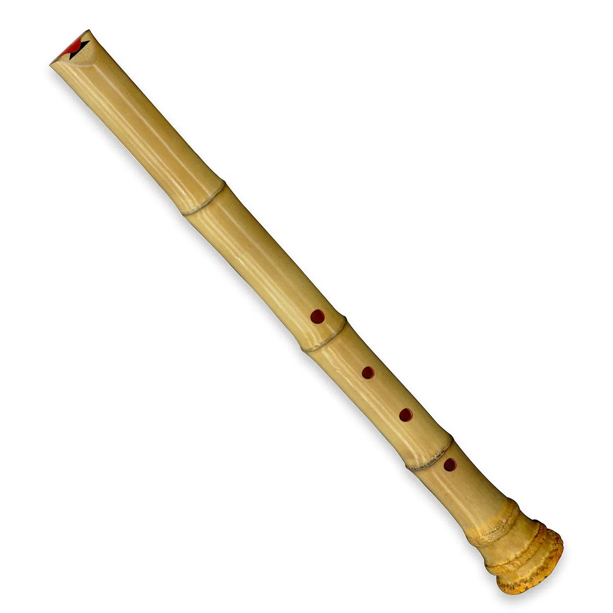 Japanische Zen Shakuhachi Pentatonische Flöte mit Natura-Glockenwurzel. KINKO-ryuu 1,8 Fuß. Gut für Anfänger und erfahrene Flötisten. Spielen Sie Jazz "TAKE FIVE" und traditionelle Musik.