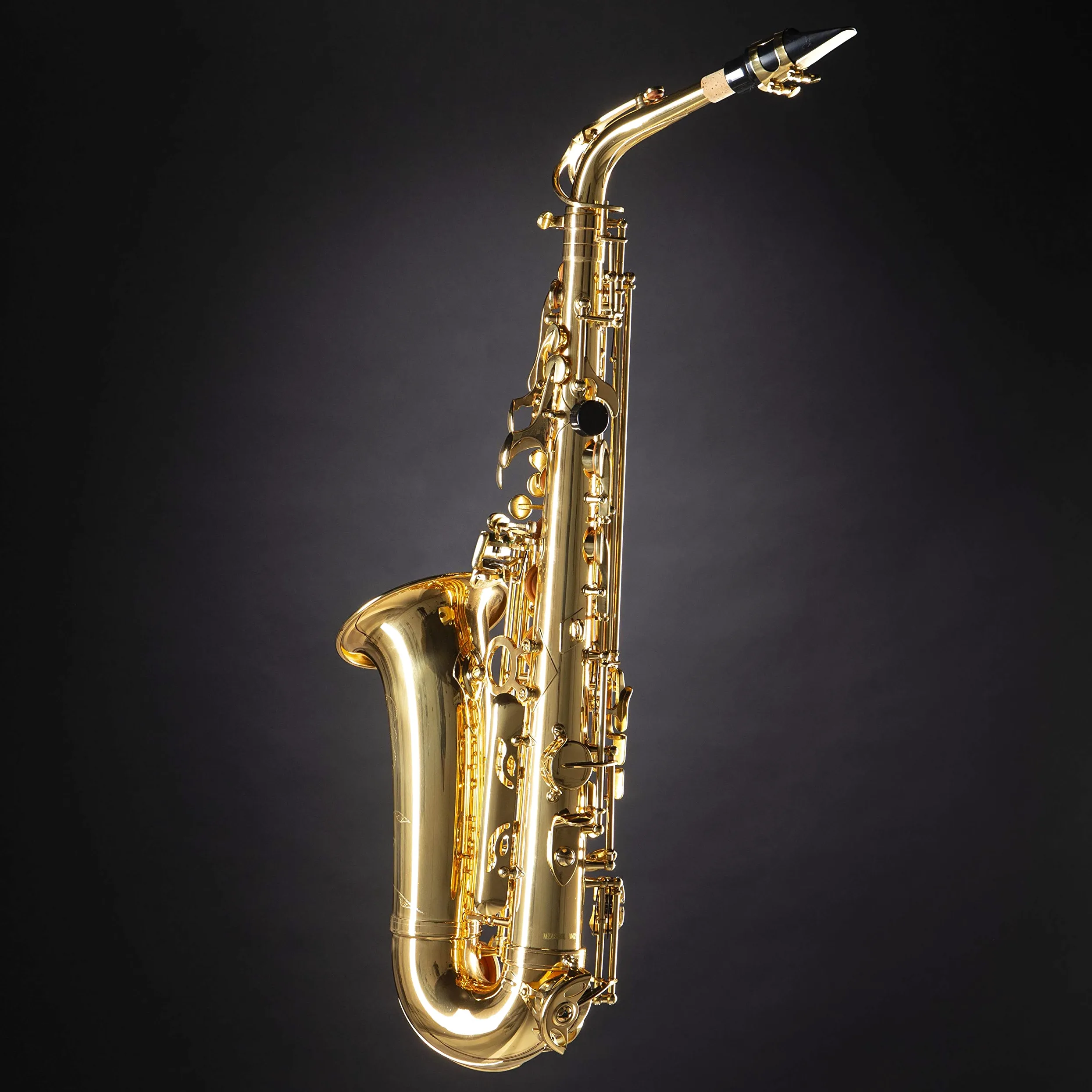 Monzani MZAS-90L Alt Saxophon für Einsteiger, Leichtgewicht, Volle Klangqualität, Einfache Ansprache, Inklusive Mundstück und Hardcase, Ideal für Anfänger