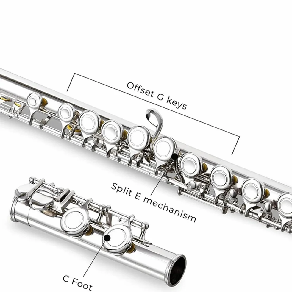 16 Geschlossene Offene Löcher C-Tonart Professionelles Querflöte Konzertmusikinstrument mit Box Reinigungstuch Stockhandschuhe