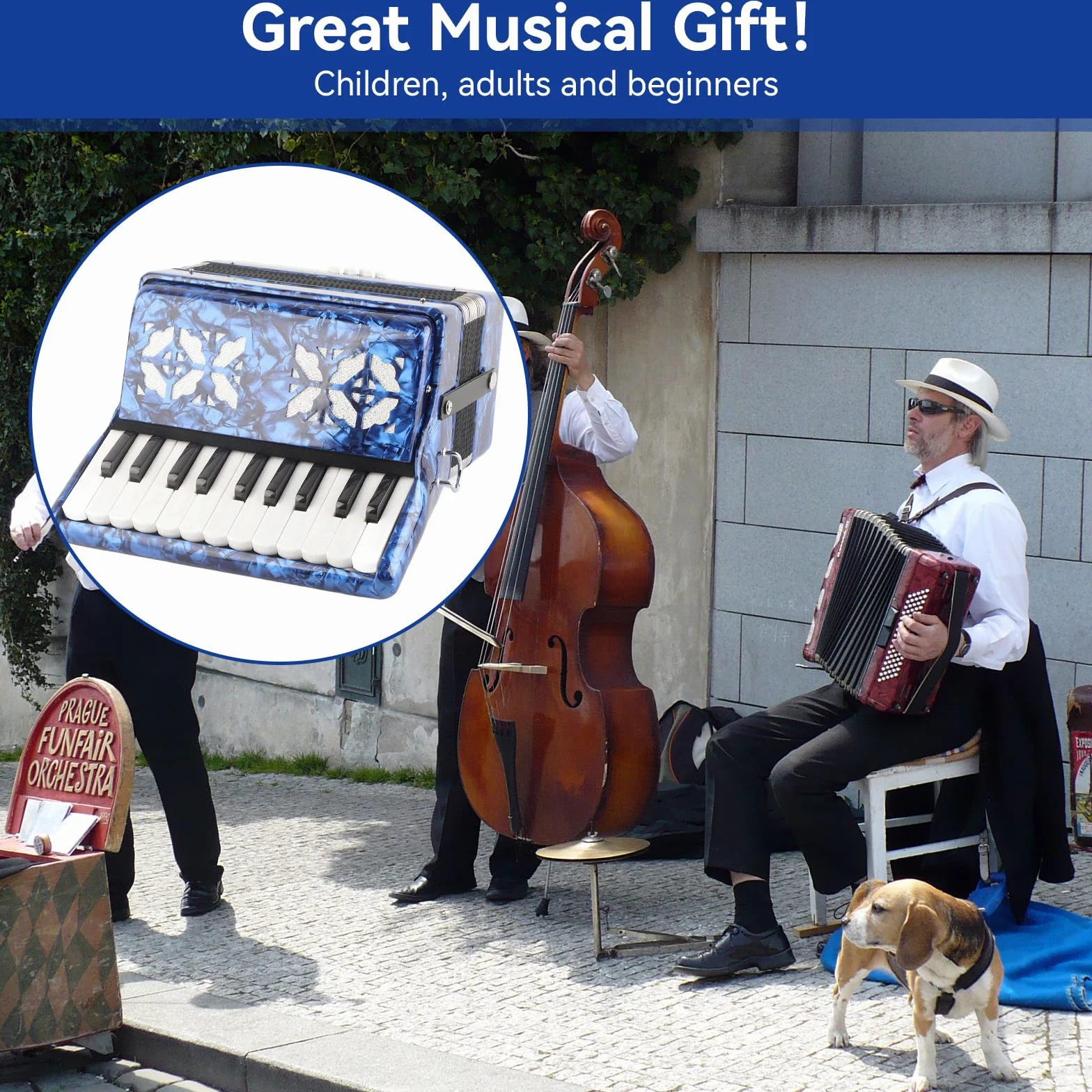 Akkordeon 22 Tasten, Ziehharmonika mit Riemen, Akkordeon für Erwachsene, 8 Bass Accordion, Professionell Keyboard Instrument, Geschenk für Anfänger und Kinder Leistung