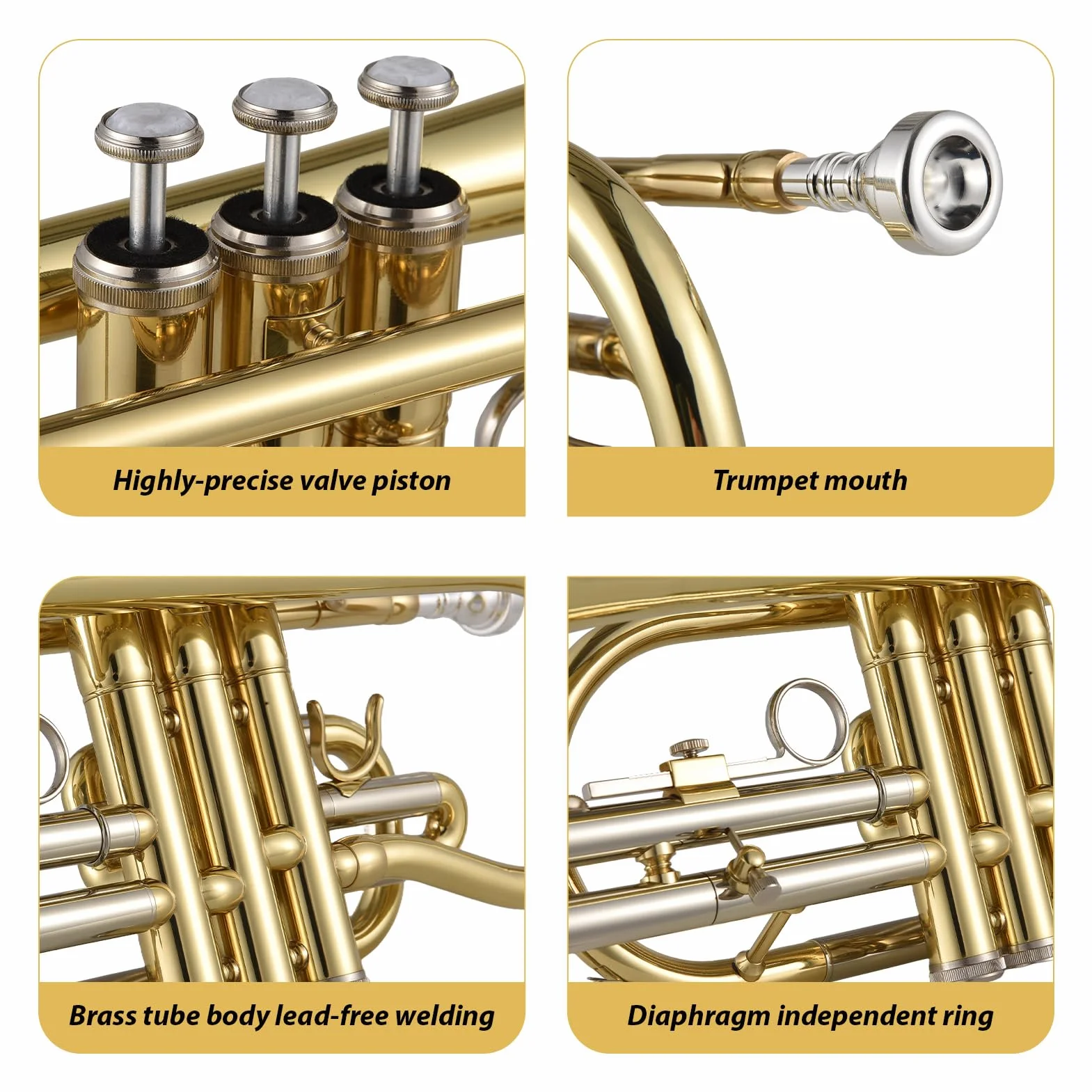 Btuty Bb-Kornett, Messing, Ventile Edelstahl, mit einem multifunktionalen Hartschalenkoffer, Handschuhen, Reinigungstuch, Bürsten, Ideal für Schüler und Anfänger, Gold/Silber