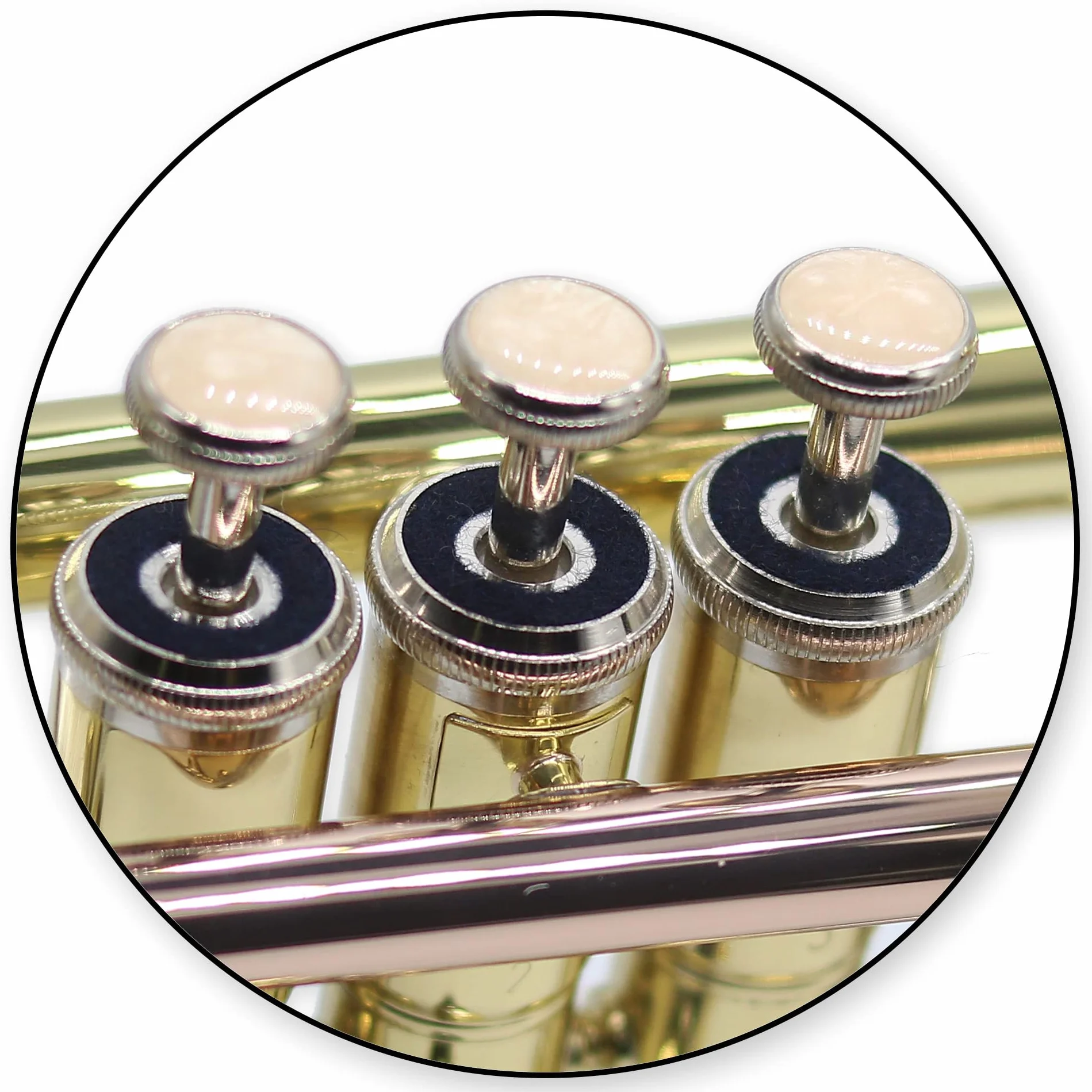 TTR-171 B-Trompete aus Messing - komplett mit Mundstück, Koffer, Zubehör + Trompetenlehrgang "Trumpet Basics"