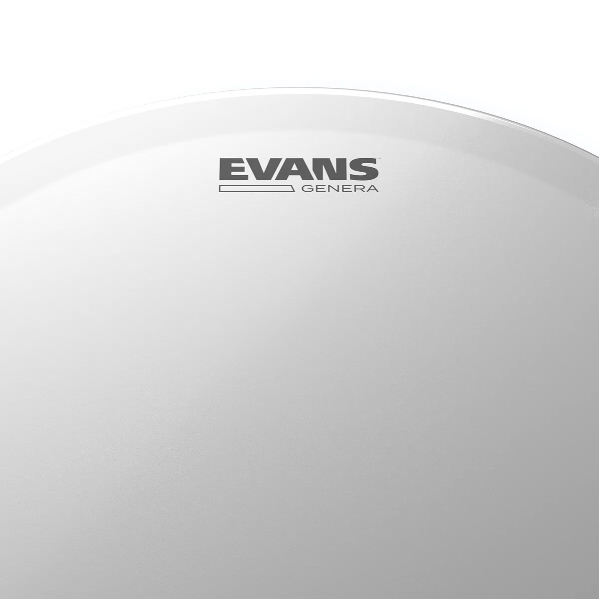 Evans B14GEN 35,56cm (14 Zoll) Snarefell Genera Dry