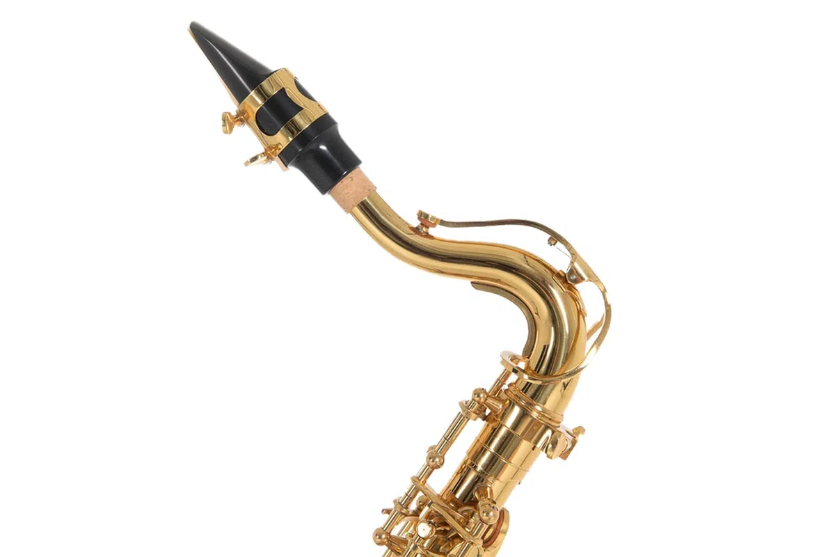 Roy Benson Eb-Alt Kinder Saxophon AS-201 (Speziell für Kinder entworfen, inklusive Putztuch, mit Harness-Tragegurt, im leichten Rechtecketui, mit Rucksackgarnitur)