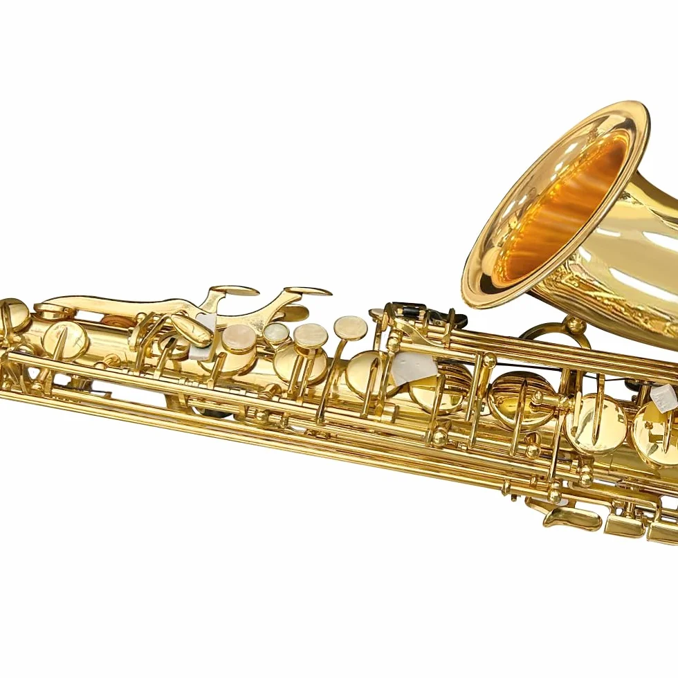 Yinfente Eb flaches Saxophon mit 10 Blättern, 8 Pads, Hartschalenkoffer und mehr, für Studenten, Anfänger, Erwachsene, Altsaxophon, Saxophon-Set, (goldfarben)