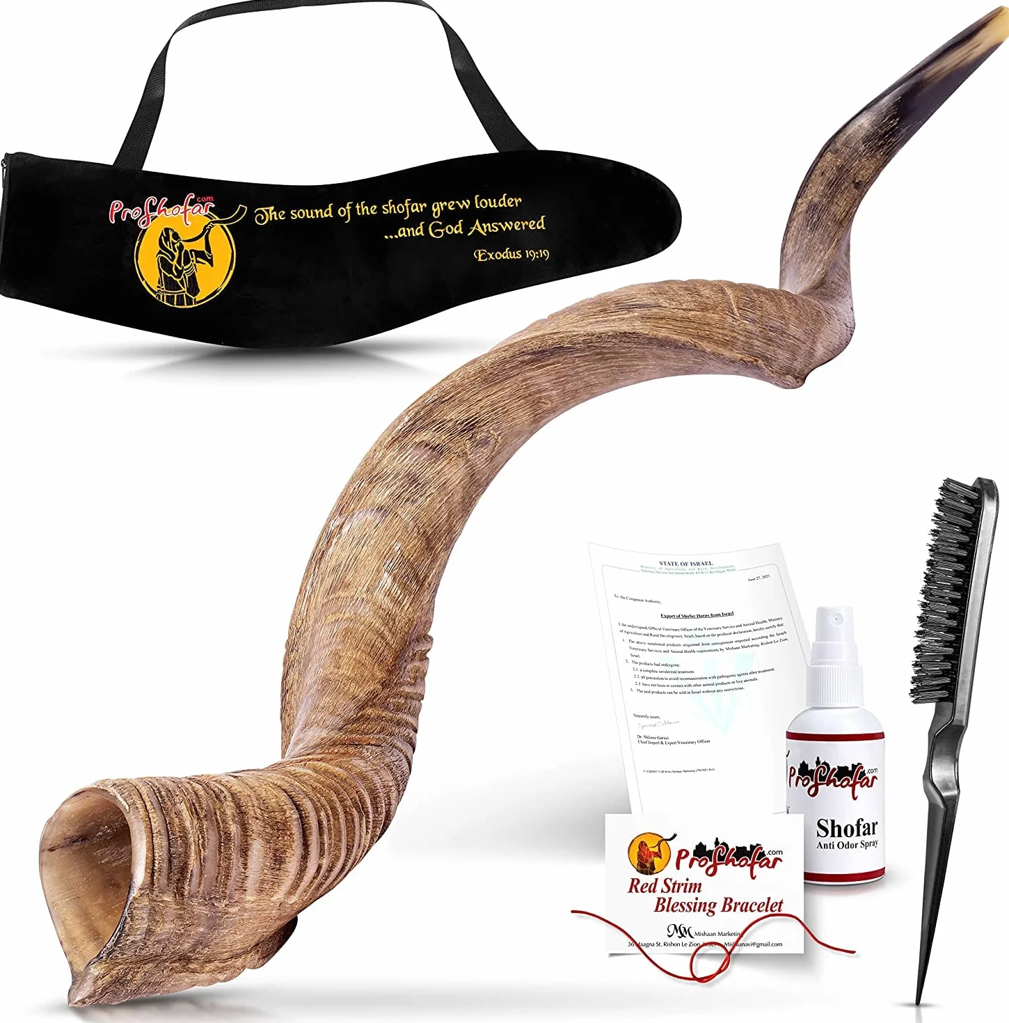 Israel Schofar Set – Naturkudu-Horn-Schofar – koscheres Schofar Jemenitisches traditionelles Musikinstrument für jüdische spirituelle Zeremonien und religiöse Predigten, hergestellt in