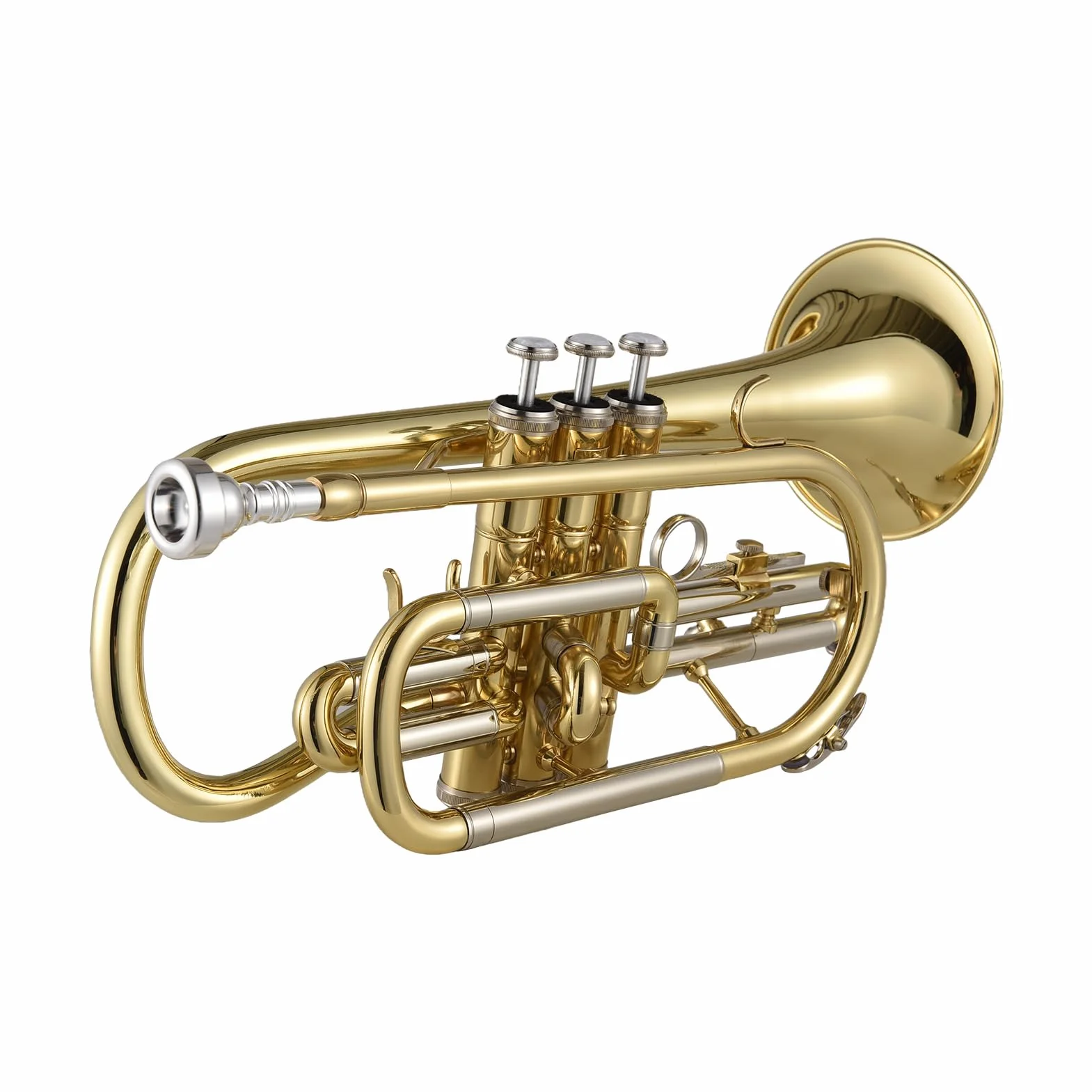 Btuty Bb-Kornett, Messing, Ventile Edelstahl, mit einem multifunktionalen Hartschalenkoffer, Handschuhen, Reinigungstuch, Bürsten, Ideal für Schüler und Anfänger, Gold/Silber