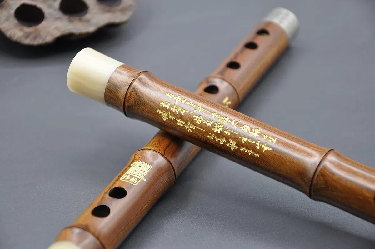 Professionelle Flöte D-Key Dizi für Anfänger mit gratis Membran und Klebstoff, traditionelles chinesisches rotes Sandelholz Instrument (D-Key)