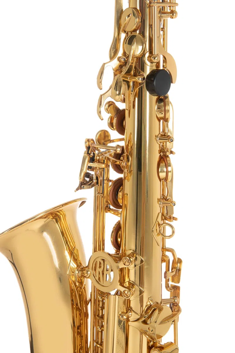 Roy Benson Eb-Alt Kinder Saxophon AS-201 (Speziell für Kinder entworfen, inklusive Putztuch, mit Harness-Tragegurt, im leichten Rechtecketui, mit Rucksackgarnitur)