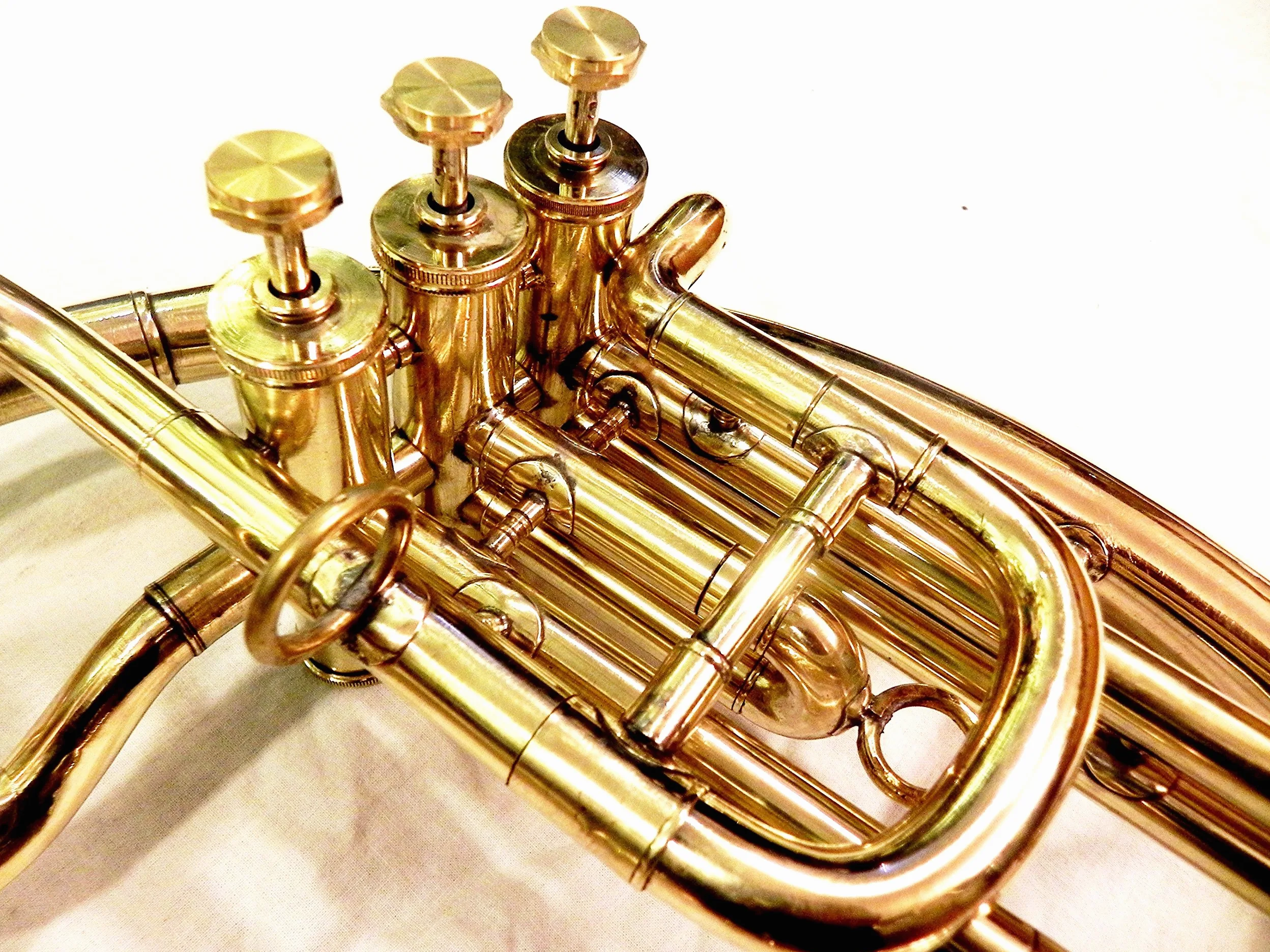 IM Messing-Sousaphon, 55,9 cm, goldfarben, moderner Stil mit polierter Oberfläche und Tragetasche