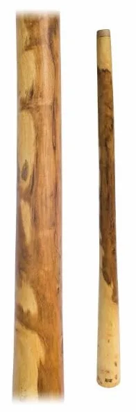 Didgeridoo Eucalyptus Natur ca. 135 cm mit Leinenöl überzogen Sphärisch meditativ Australien Weltmusik