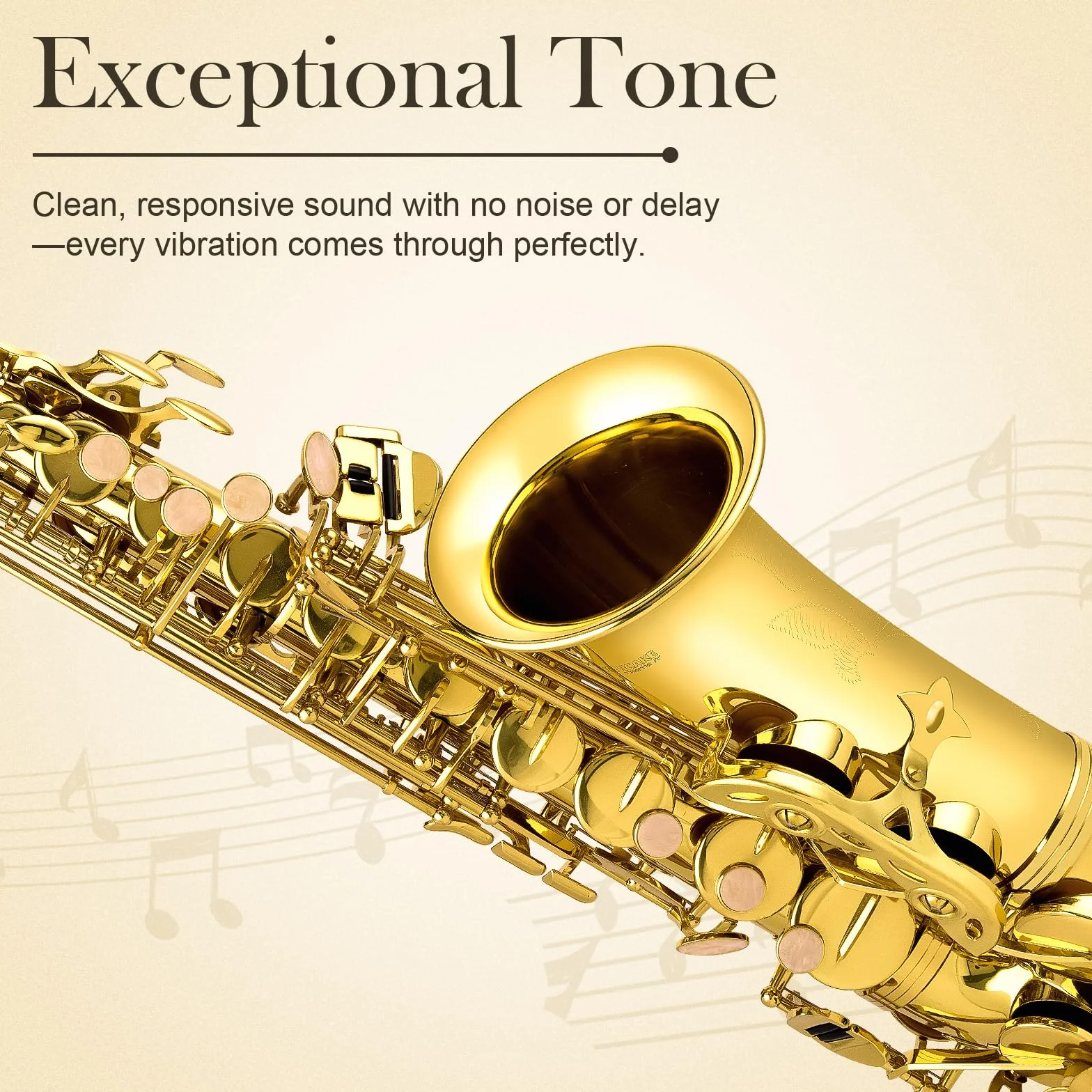 SONICAKE Eb Altsaxophon Goldlack, komplettes Saxophon-Set für Anfänger mit Koffer, Mundstück, Blättern, Ständer & Zubehör QSX-01