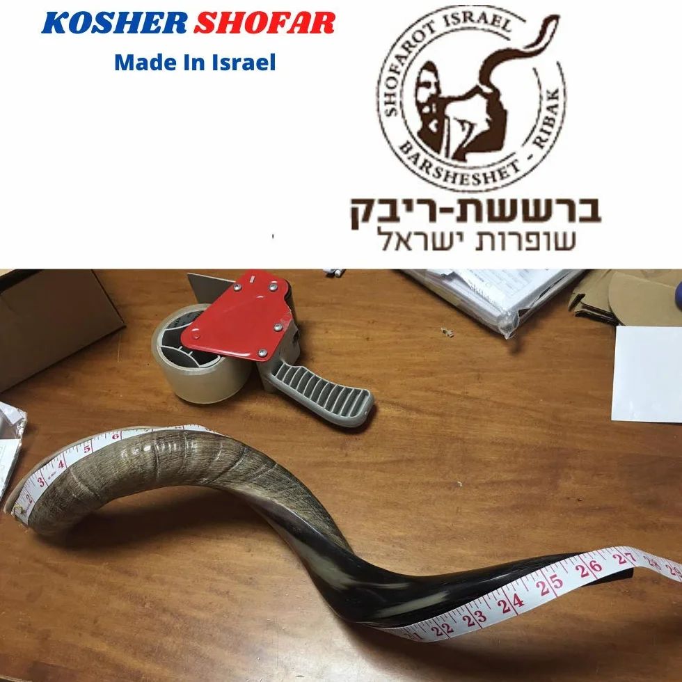 Kudu Yemenite Horn Schofar 101,6 cm 112 "100–112 cm koscher Hälfte natur Polish Chofar