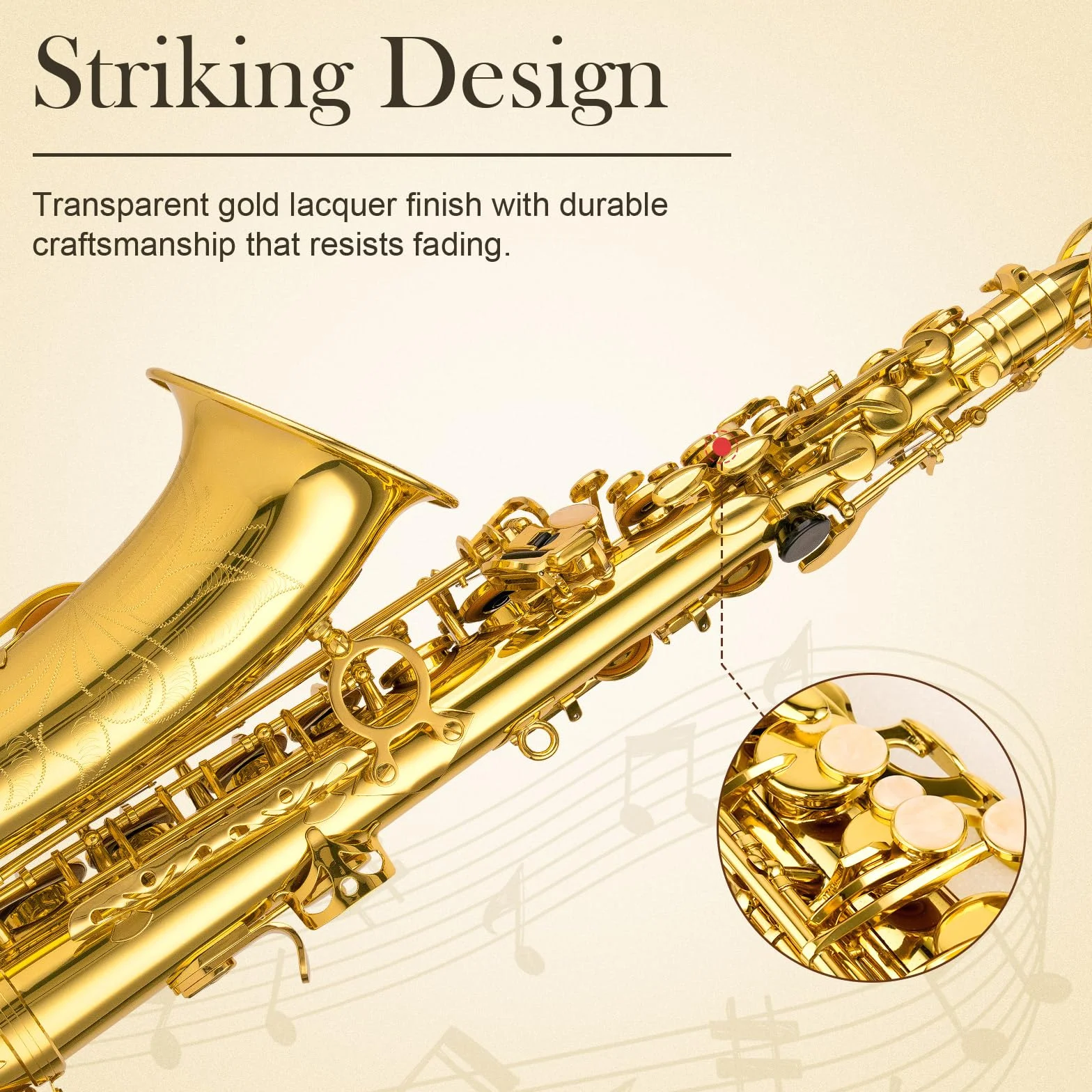 SONICAKE Eb Altsaxophon Goldlack, komplettes Saxophon-Set für Anfänger mit Koffer, Mundstück, Blättern, Ständer & Zubehör QSX-01