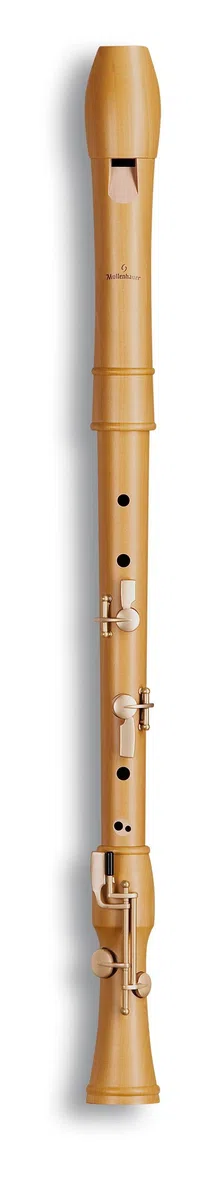 Mollenhauer 2446C CANTA Comfort-Tenor barock