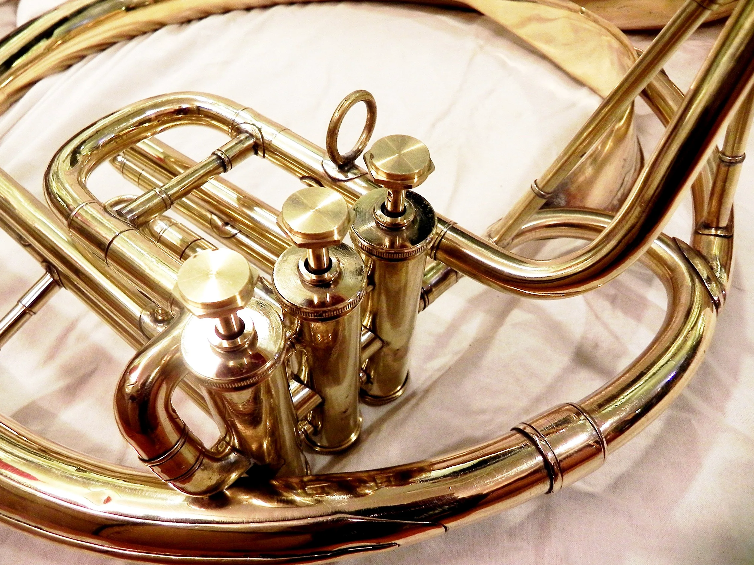 IM Messing-Sousaphon, 55,9 cm, goldfarben, moderner Stil mit polierter Oberfläche und Tragetasche