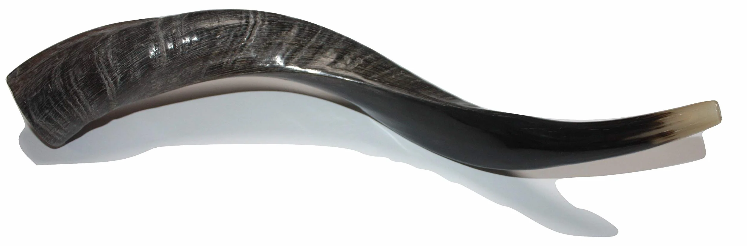 40,6 - 48,3 cm natürliches, authentisches Koscher-Yemenit Kuduhorn Schofar jüdisch – Israel