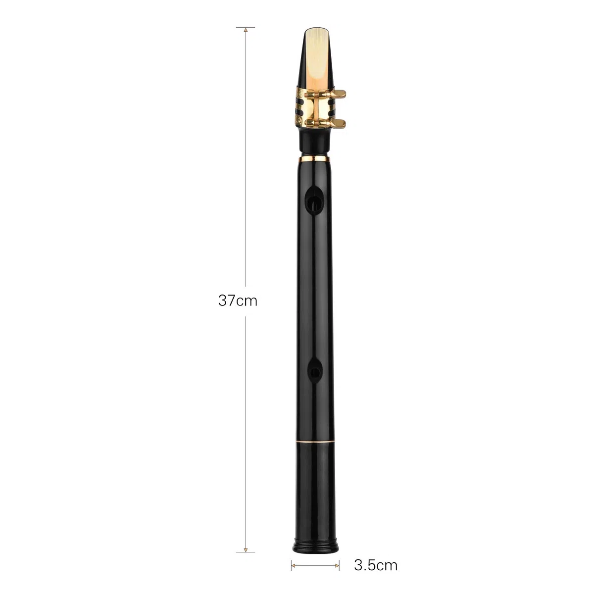 Mini-Taschen-Saxophon mit C-Schlüssel, ABS-Material, 10 Stück, Tragetasche, Holzblasinstrument